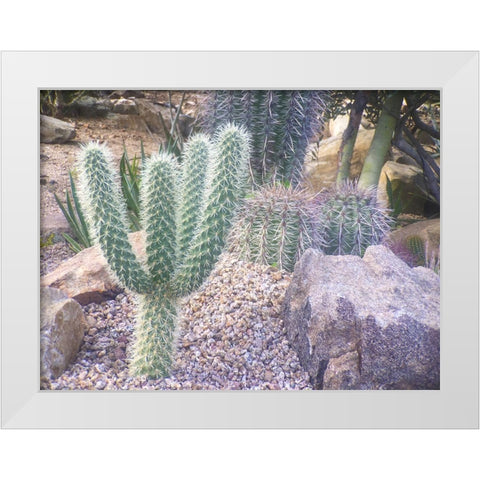 Cactus Arrangement I White Modern Wood Framed Art Print by Grayscale
