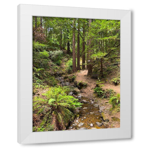 Creekside I White Modern Wood Framed Art Print by Grayscale