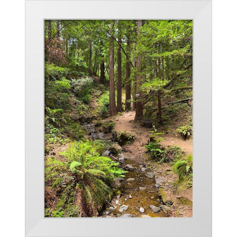 Creekside I White Modern Wood Framed Art Print by Grayscale
