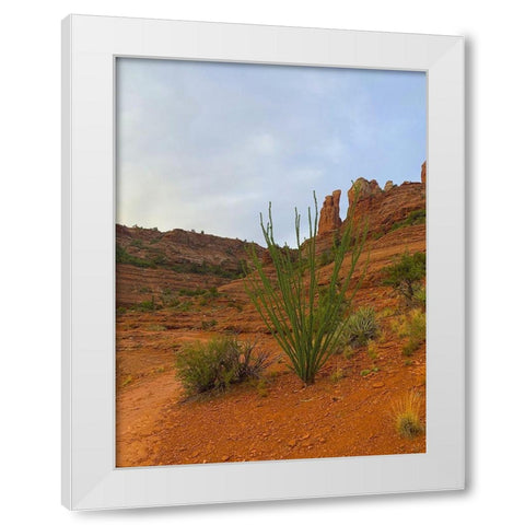 Sedona I White Modern Wood Framed Art Print by Grayscale