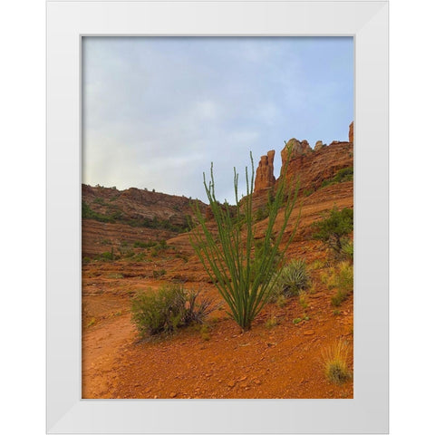 Sedona I White Modern Wood Framed Art Print by Grayscale