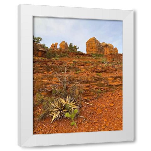 Sedona II White Modern Wood Framed Art Print by Grayscale