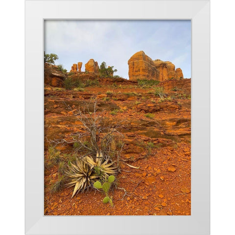 Sedona II White Modern Wood Framed Art Print by Grayscale