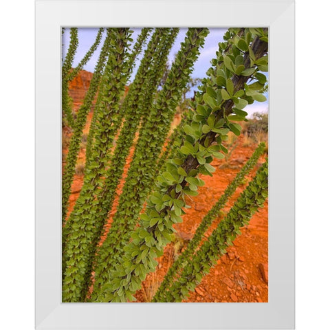 Sedona III White Modern Wood Framed Art Print by Grayscale