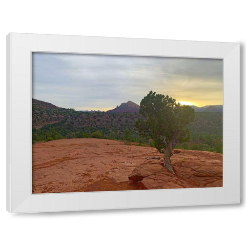 Sedona IV White Modern Wood Framed Art Print by Grayscale