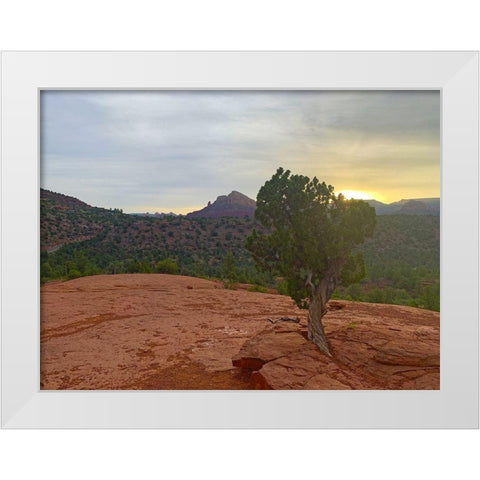 Sedona IV White Modern Wood Framed Art Print by Grayscale