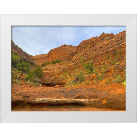 Sedona V White Modern Wood Framed Art Print by Grayscale