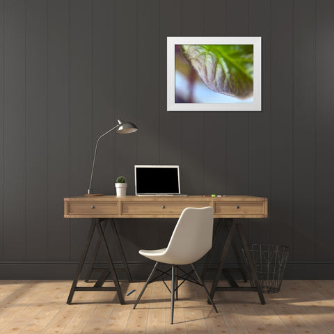 Leaf Edge I White Modern Wood Framed Art Print by Grayscale