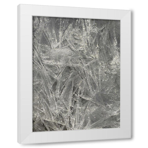 Ice I White Modern Wood Framed Art Print by Grayscale