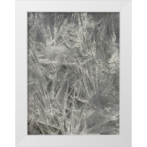 Ice I White Modern Wood Framed Art Print by Grayscale