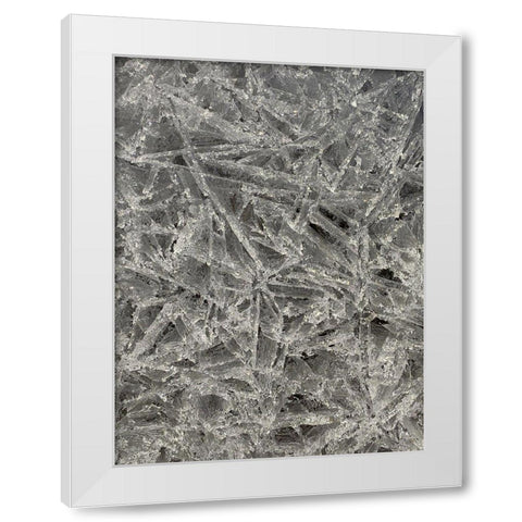 Ice II White Modern Wood Framed Art Print by Grayscale