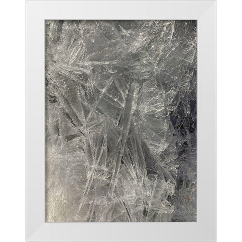 Ice III White Modern Wood Framed Art Print by Grayscale