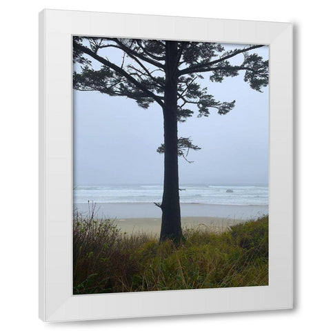 Costal Tree View I White Modern Wood Framed Art Print by Grayscale