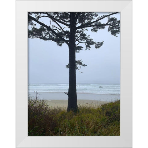 Costal Tree View I White Modern Wood Framed Art Print by Grayscale