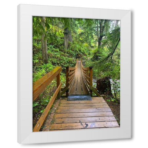 Forest Bridge IV White Modern Wood Framed Art Print by Grayscale