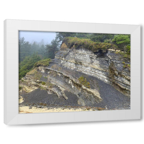 Eroded Coast II White Modern Wood Framed Art Print by Grayscale