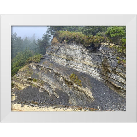Eroded Coast II White Modern Wood Framed Art Print by Grayscale