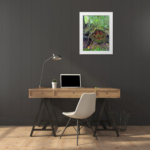 Forest Happy Face II White Modern Wood Framed Art Print by Grayscale