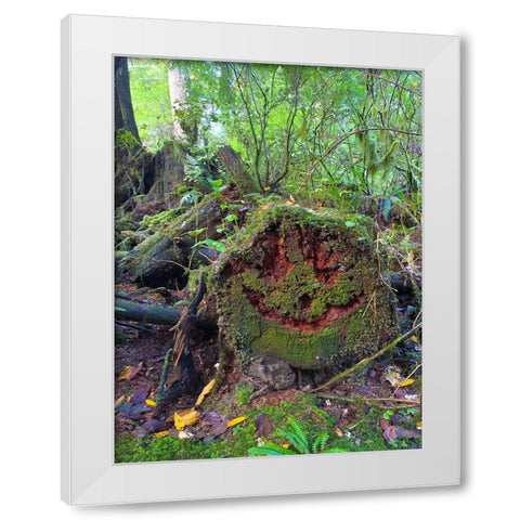Forest Happy Face II White Modern Wood Framed Art Print by Grayscale