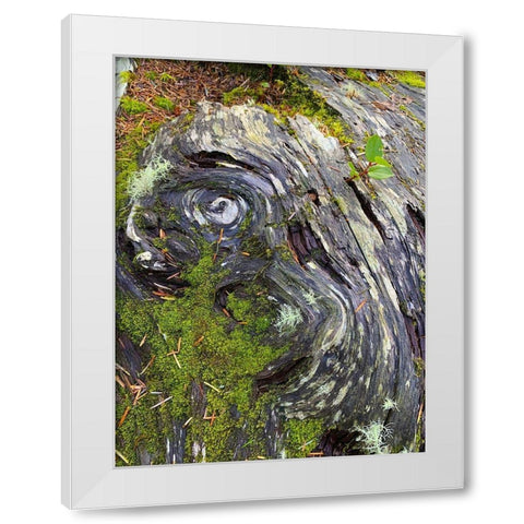 The Scream White Modern Wood Framed Art Print by Grayscale