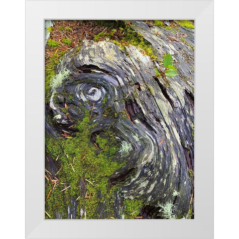 The Scream White Modern Wood Framed Art Print by Grayscale