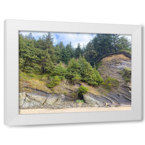 Eroded Coast V White Modern Wood Framed Art Print by Grayscale