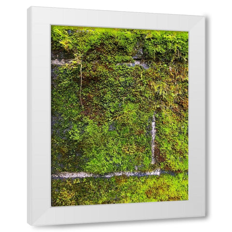 Stone Wall I White Modern Wood Framed Art Print by Grayscale