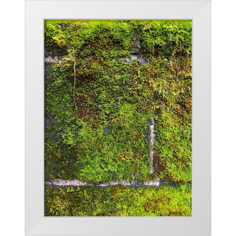 Stone Wall I White Modern Wood Framed Art Print by Grayscale
