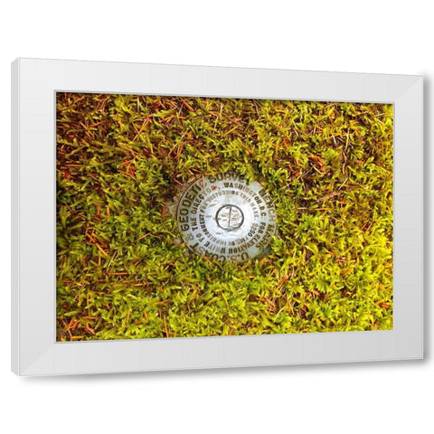 US Geodetic Survey Point I White Modern Wood Framed Art Print by Grayscale