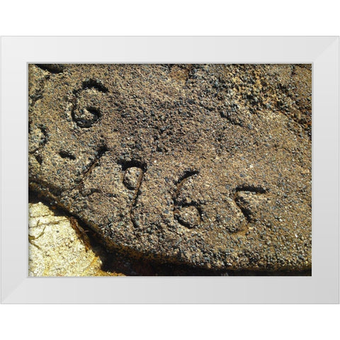 1965 White Modern Wood Framed Art Print by Grayscale