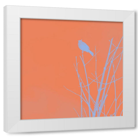 Bird Silhouette II White Modern Wood Framed Art Print by Popcorn