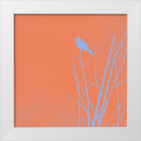 Bird Silhouette II White Modern Wood Framed Art Print by Popcorn