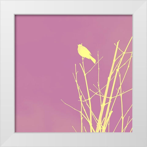 Bird Silhouette III White Modern Wood Framed Art Print by Popcorn