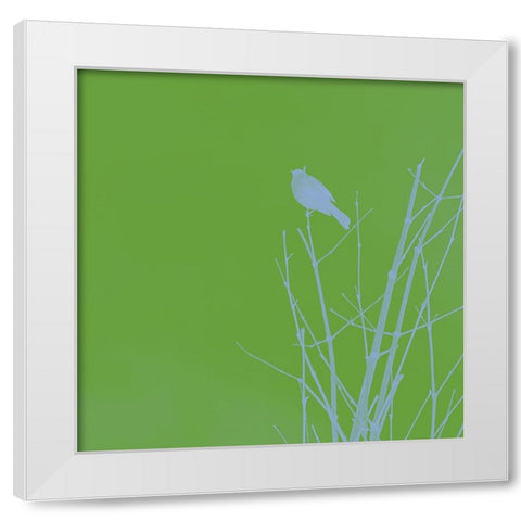 Bird Silhouette VI White Modern Wood Framed Art Print by Popcorn