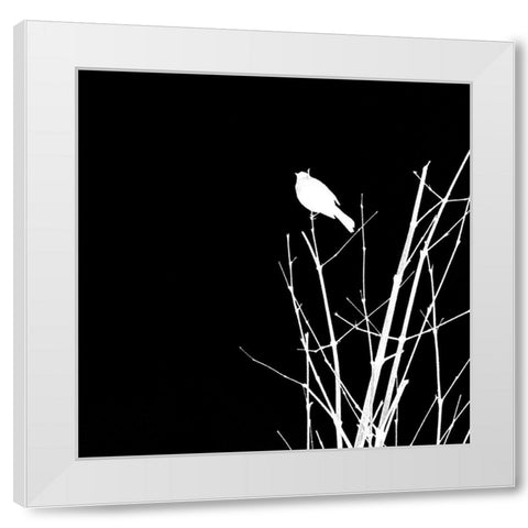 Bird Silhouette VII White Modern Wood Framed Art Print by Popcorn