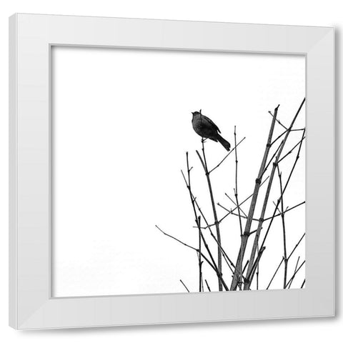 Bird Silhouette VIII White Modern Wood Framed Art Print by Popcorn
