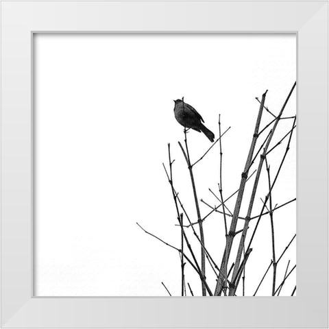 Bird Silhouette VIII White Modern Wood Framed Art Print by Popcorn