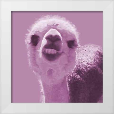 Alpaca Pink White Modern Wood Framed Art Print by Popcorn