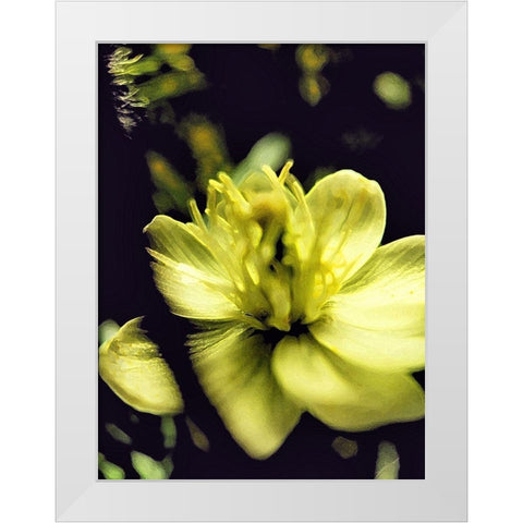 Moody White Flower II White Modern Wood Framed Art Print by Popcorn