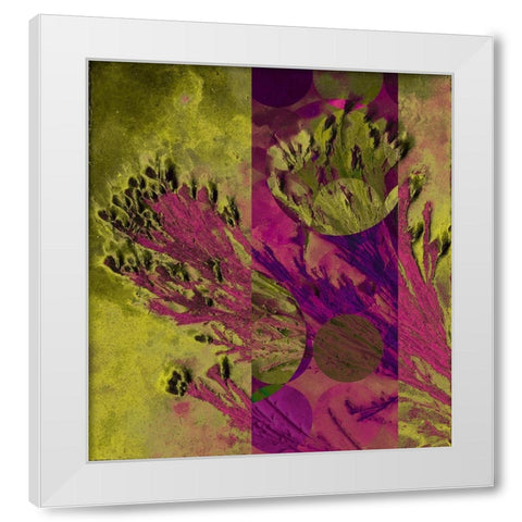 Desert Broom Abstract  White Modern Wood Framed Art Print by Tenoever, William