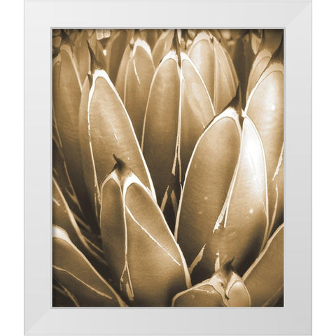 Agave Sepia White Modern Wood Framed Art Print by Tenoever, William