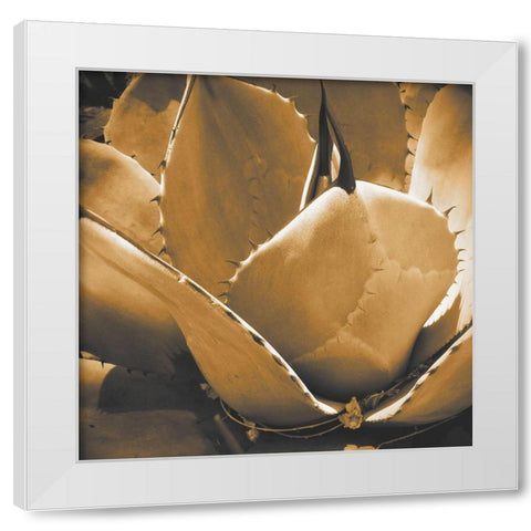 Mescal Agave: Sepia White Modern Wood Framed Art Print by Tenoever, William