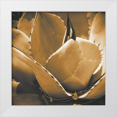Mescal Agave: Sepia White Modern Wood Framed Art Print by Tenoever, William
