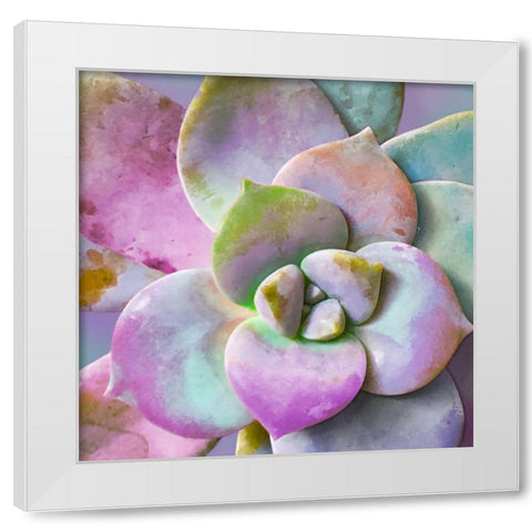 Moods Succulent I White Modern Wood Framed Art Print by Tenoever, William