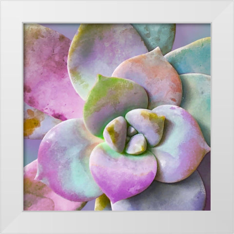 Moods Succulent I White Modern Wood Framed Art Print by Tenoever, William