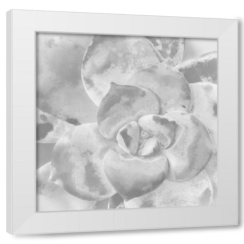 Moods Succulent V White Modern Wood Framed Art Print by Tenoever, William