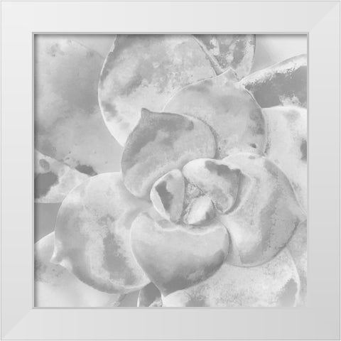 Moods Succulent V White Modern Wood Framed Art Print by Tenoever, William