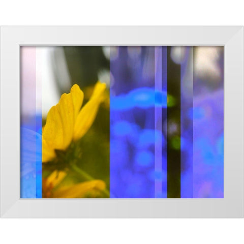 Stripes: Brittle Bush White Modern Wood Framed Art Print by Tenoever, William