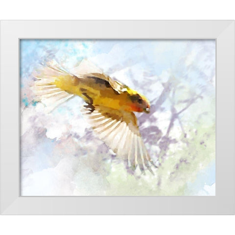 Oriole White Modern Wood Framed Art Print by Tenoever, William