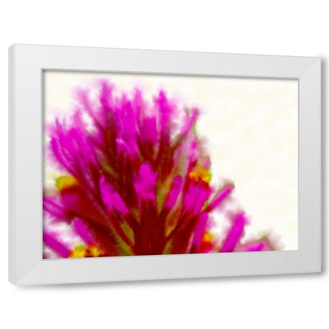 Owl Clover in Bloom 2 White Modern Wood Framed Art Print by Tenoever, William